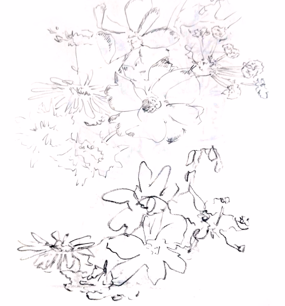 Sketch of flowers