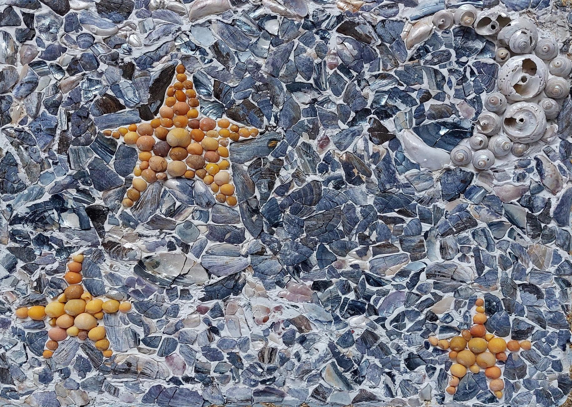 Mosaic with shells